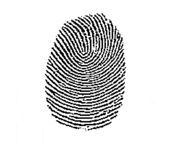 Fingerprint